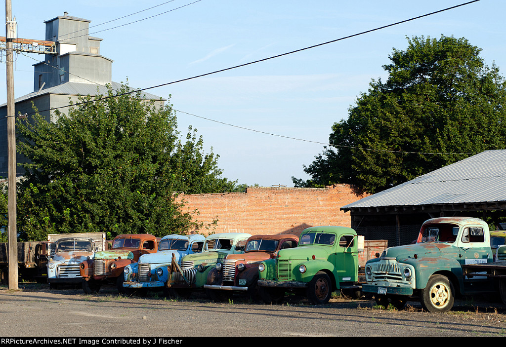 Vintage trucks in the early morning